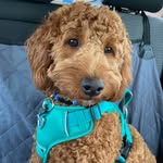 Mary Buehler - @mary.buehler.1 - Instagram