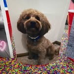 Mary_Buehler - @sandybeaches_4411 - Instagram