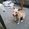 Mary Buison - @mary.buison - TikTok