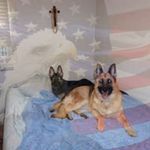 Mary Lynch Burba - @ladybugnil - Instagram