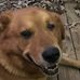 Mary Burbank - Facebook