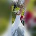 Mary Burbank - Facebook