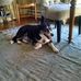 Mary Burkhead - Facebook