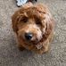 Mary C Burkhead - Facebook