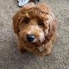 Mary C Burkhead - @mary.c.burkhead - TikTok