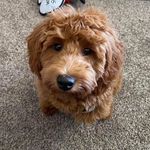 Mary C Burkhead - @burkhead.mary - Instagram
