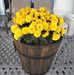 Mary Burman - Facebook