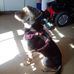 Heather Mary Buskey - Facebook
