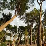 Mary Buster - @suengajongo8 - Instagram