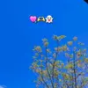 Mary Bustillos - @mary.bustillos7 - TikTok