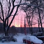 Mary Button - @coolcookie1955 - Instagram