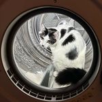 Mary Button Durell - @marybutton - Instagram