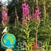 Marie Cacciatore - Facebook
