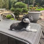 Mary cacciatore - @magical_maria_hairstyles - Instagram