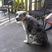 Mary Cacciatore - Facebook