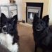 Mary Mccafferty - Facebook