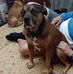 Mary Caley - Facebook