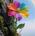 Mary Calles - Facebook