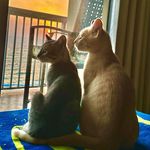 Mary Canaday - @marycanaday - Instagram