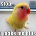 Mary Capps - Facebook