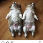 Mary Cappelli - @cappelli315 - Instagram