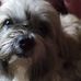 Mary Cappelli - Facebook