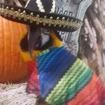 Mary Cappello - @grandmom100 - Instagram