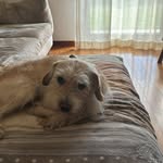 Michela - @marycappellotto - Instagram