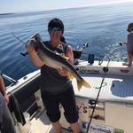 Mary Ann Cardinal - @maryann.2009 - Instagram