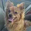 Marycarmen Aparicio - @marycarmenaparicio1 - TikTok