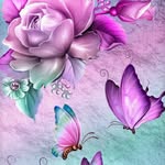 Mary Carnes - @mary.carnes.547 - Instagram