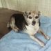 Mary Carnes - Facebook