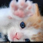 Mary Carnes - @eskiemum - Instagram
