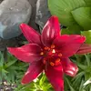 mary__carol - @mary__carol - TikTok