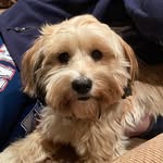 Mary Carolan-Murphy - @mary.carolanmurphy - Instagram