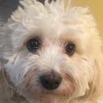 Mary Caroleo - @caroleo.mary - Instagram