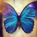 Mary Caroline - Facebook