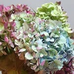 Mary Carper - @marycarper3 - Instagram