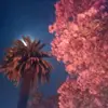 Mary Carper - @marycarpeok - TikTok
