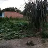 Marycarpio - @marycarpio2003 - TikTok