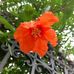 Maria Carrano - Facebook