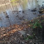 Mary carrasquillo - @map346836 - Instagram