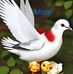 Mary Carrillo - Facebook