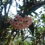 Mary Carrion - @mary.carrion.7528 - Instagram