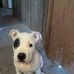 Mary Carrithers - Facebook