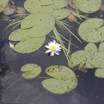 Mary Carron - @wildwillowways - Instagram