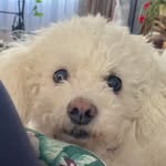 Mary Carrow - @macdolphin72 - Instagram