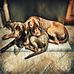 Mary Jo Carrow - Facebook