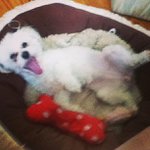 Mary Carruthers - @cyberspirdo - Instagram