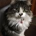 Mary Carson - Facebook